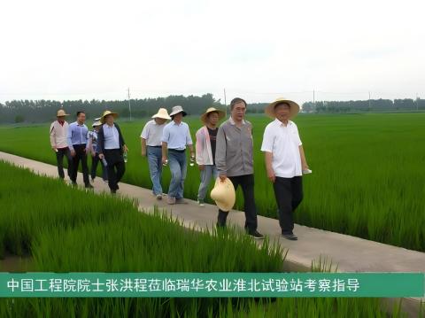中國工程院院士張洪程蒞臨瑞華農(nóng)業(yè)淮北試驗(yàn)站考察指導(dǎo)